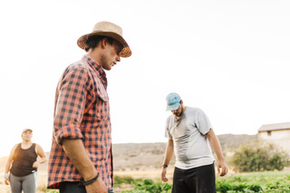 When Farm Brothers Disagree: Advice for the Next Generation of Farm Managers