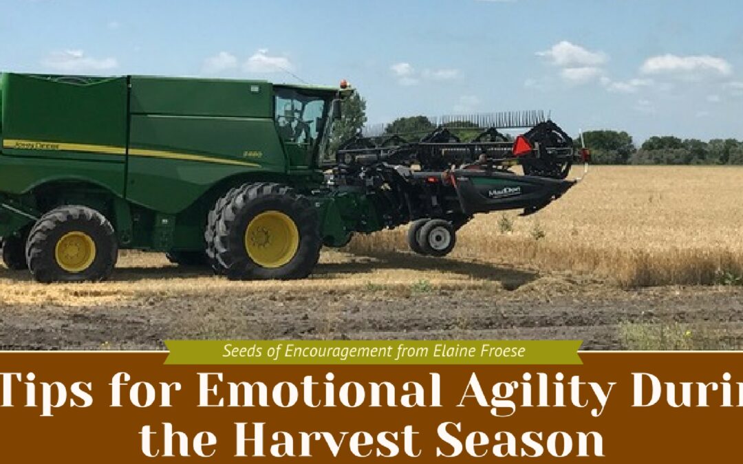 6 Tips for Emotional Agility During the Harvest Season
