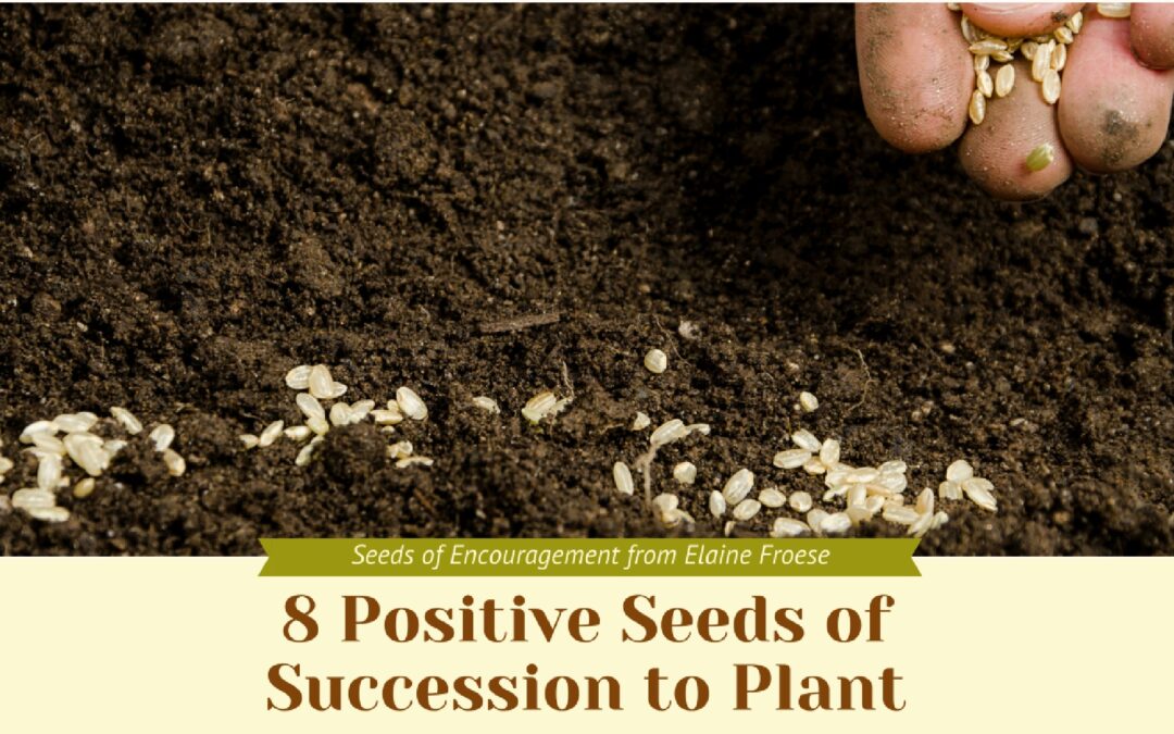 8 Positive Seeds of Succession to Plant