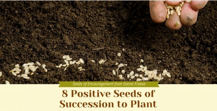 8 Positive Seeds of Succession to Plant