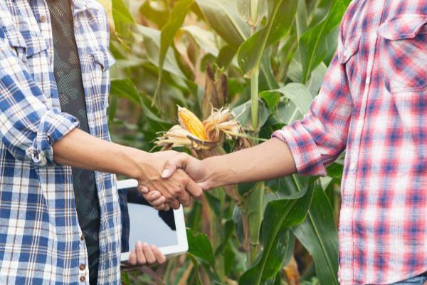 Appreciative Inquiry