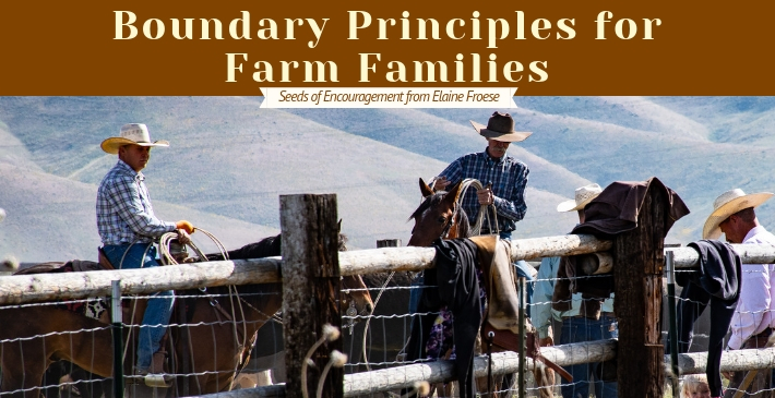 Boundary Principles for Farm Families