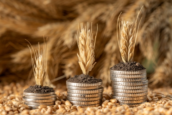 Common Pitfalls in Farm Finances