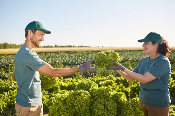 How to Create More Financial Transparency with Your Farm Team
