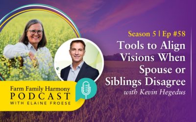 58: Tools to Align Visions When Spouse or Siblings Disagree