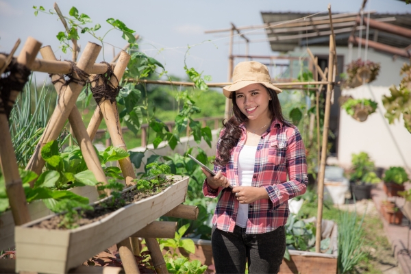 How To Save On Your Next Accounting Bill