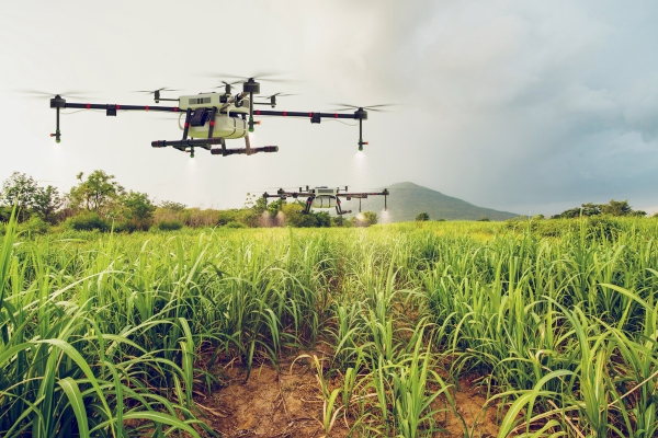 New Ideas on the Farm