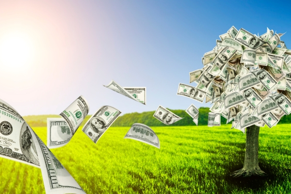 Financial Transparency