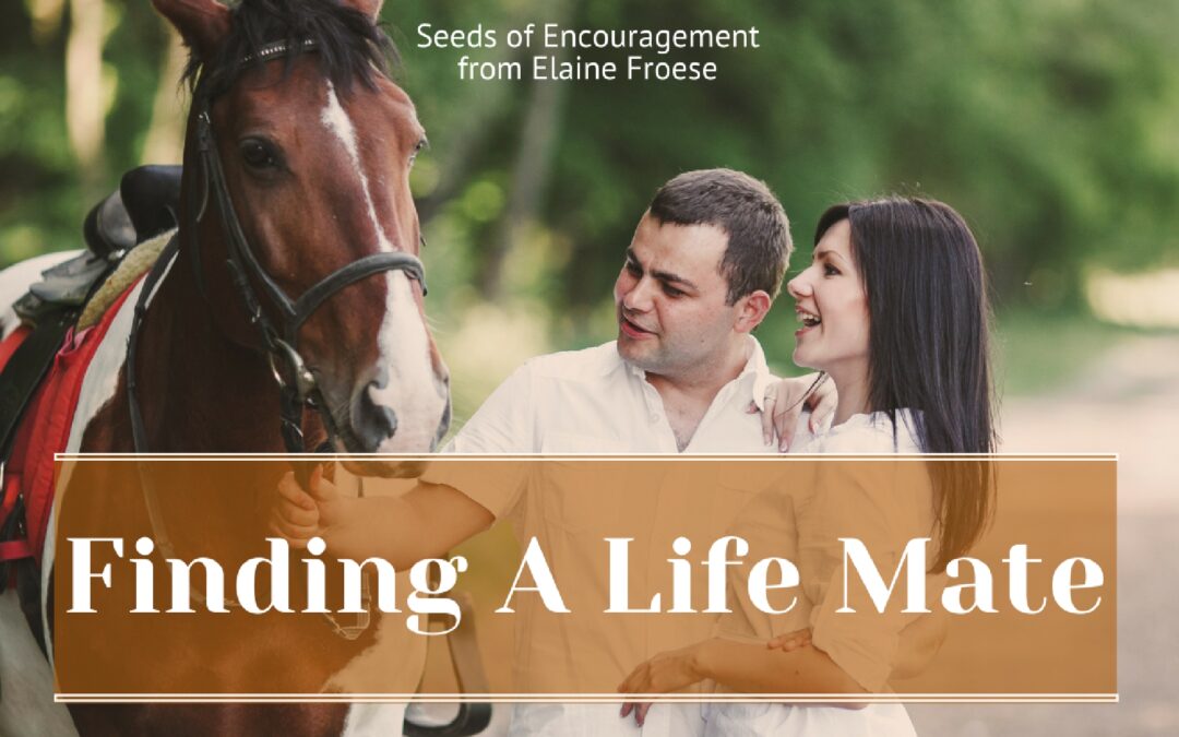 Finding A Life Mate