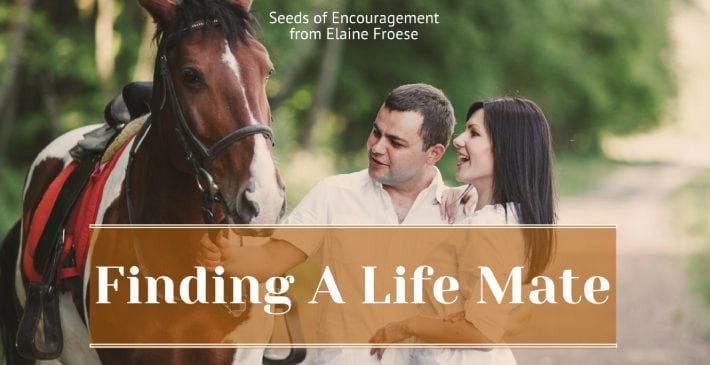 Finding A Life Mate - healthy marriage