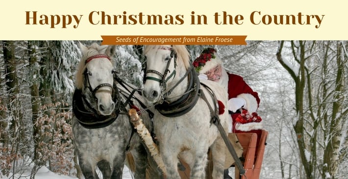 Happy Christmas in the Country