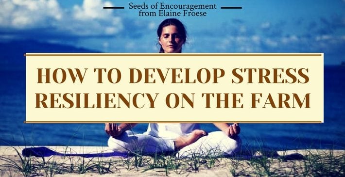 How to Develop Stress Resiliency on the Farm