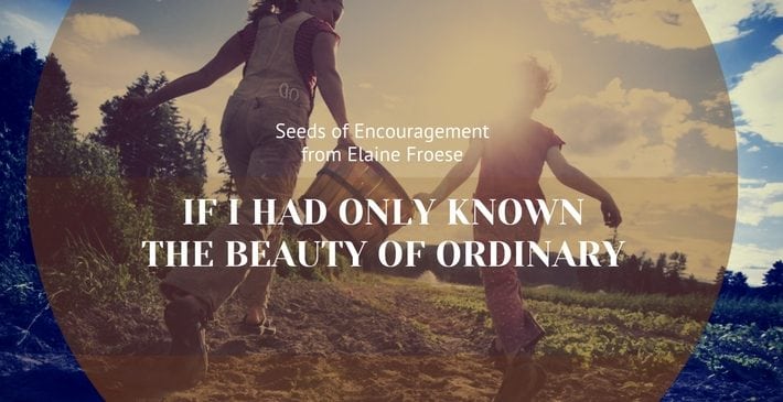 If I Had Only Know the Beauty in Ordinary