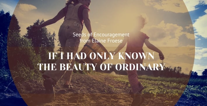 If I Had Only Known the Beauty of Ordinary