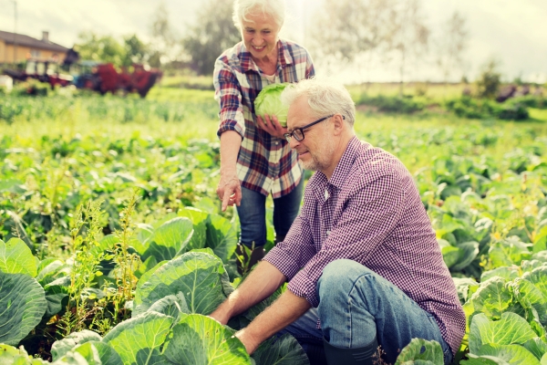 Just converse: it feels so good to talk!