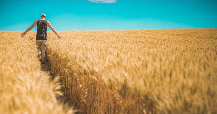  manage change on the farm and move forward successfully OG