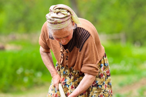 Mother in the Middle