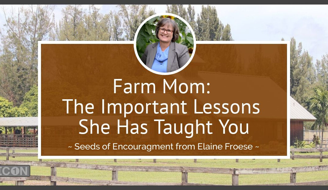 Farm Mom: The Important Lessons She Has Taught You