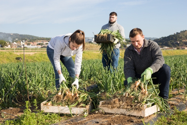 Tips to Navigate Transition Storms!