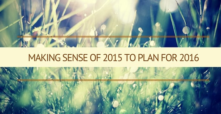 Making Sense of 2015 to Plan for 2016