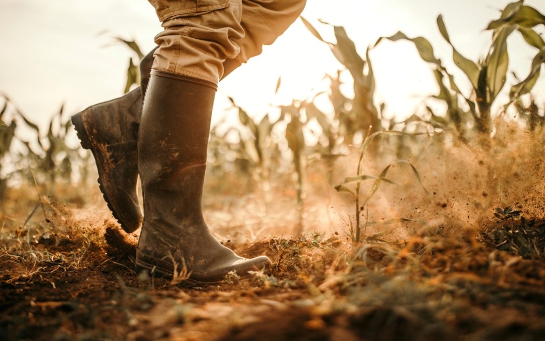 Adapting to Change with the Power of Grief