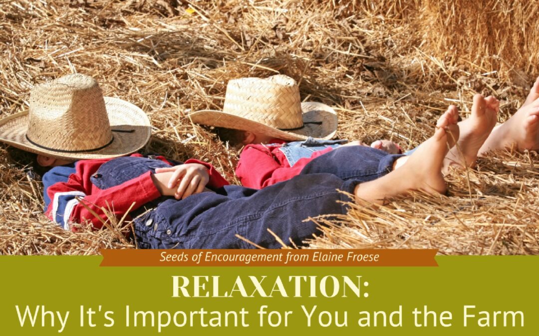 The Importance of Relaxation: Why It’s Good for You & The Farm