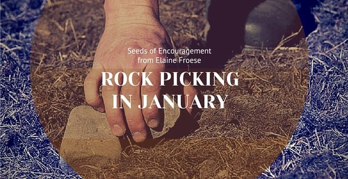 Rock Picking In January