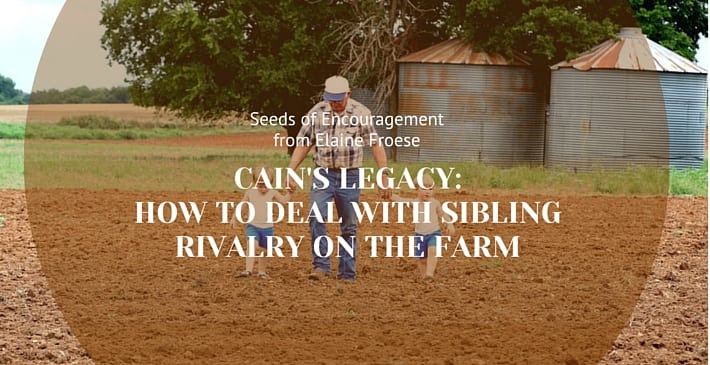 Cain’s Legacy: How to Deal With Sibling Rivalry on the Farm