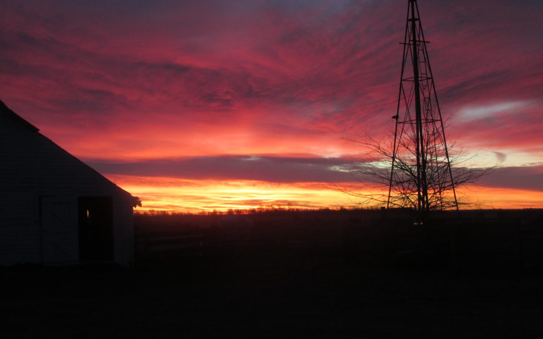 Really love the next gen with decent compensation…sweat equity 11 years later