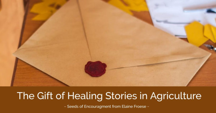The Gift of Healing Stories