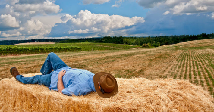 time off the farm mini breaks image