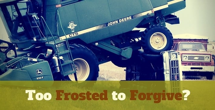 Too Frosted to Forgive