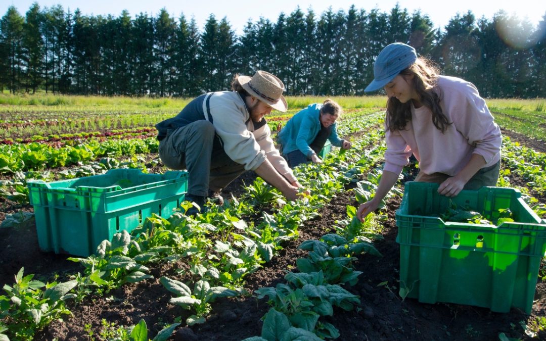 Get Great Transition Plans in Place Now, and Make My Heart Sing!