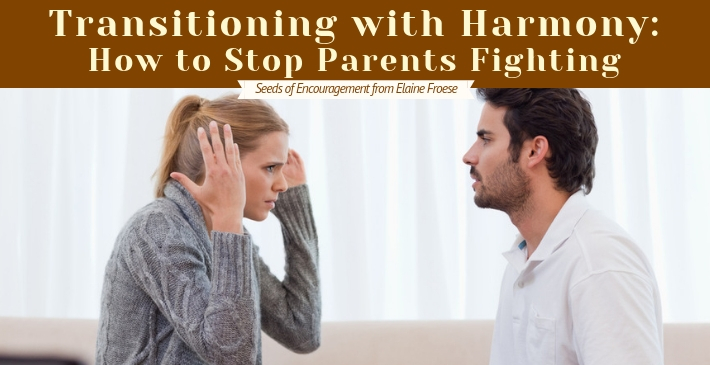 Transitioning with Harmony - How to Stop Parents Fighting