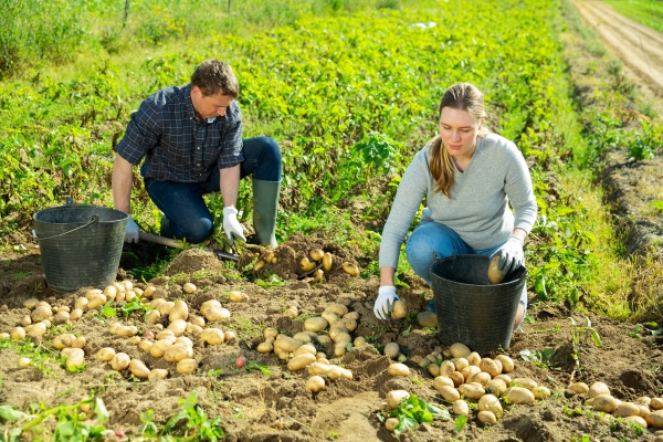 Watch How your Language Kills Transition Conversations and Affects your Mental Health.
