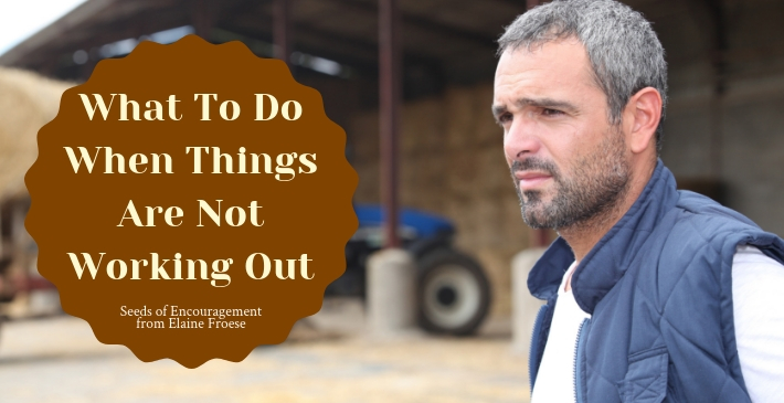 What To Do When Things Are Not Working Out
