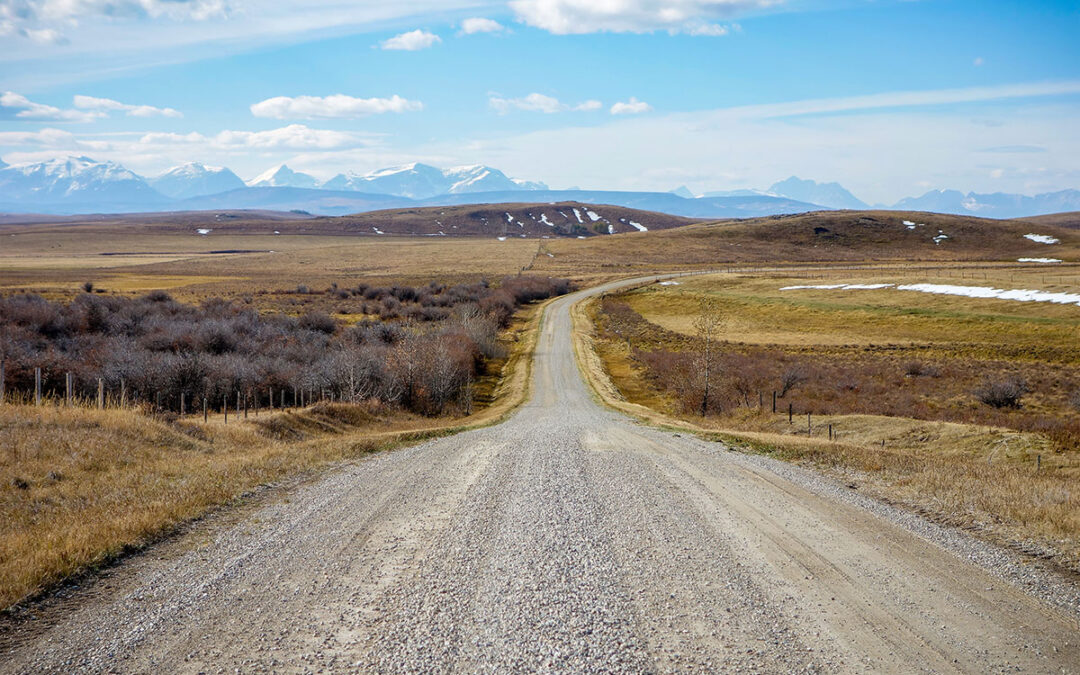 Who gets to do what on this farm? A family roles guide.