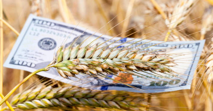 farm transition planning money image