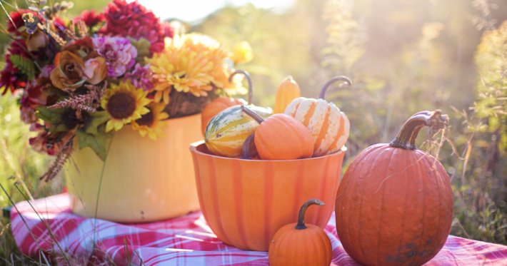 farm transition plan fall image