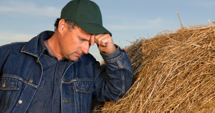 farm transition plan anticipatory loss image