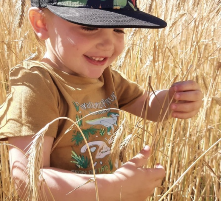 How To Say “Sorry” At Harvest