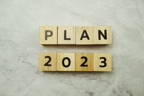 Making Sense of 2022 to Plan for 2023