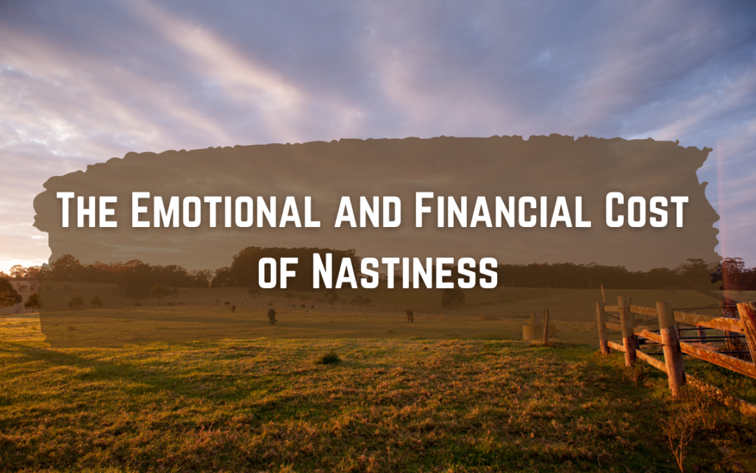 The Emotional and Financial Cost of Nastiness