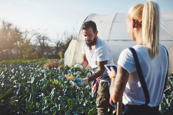 Discovering Shared Values in Transition