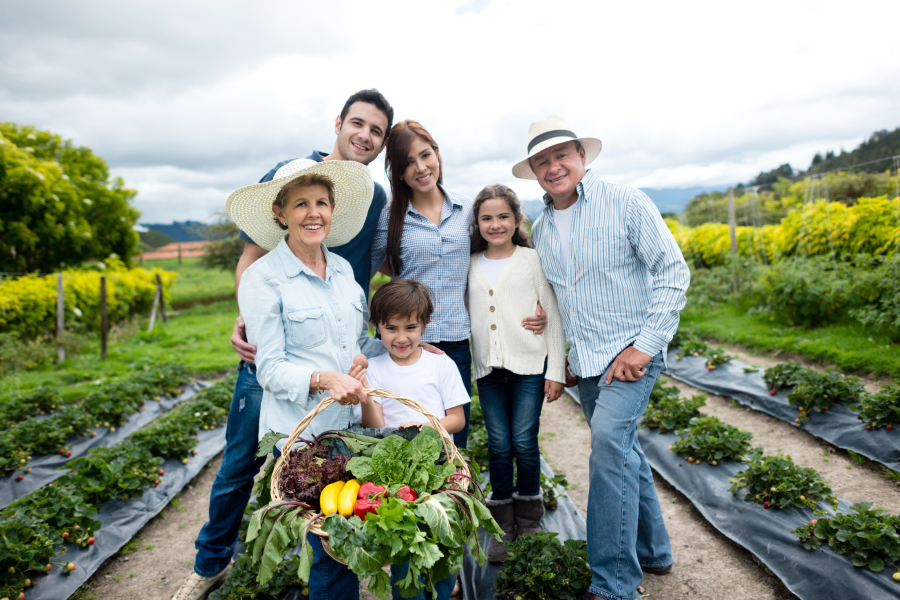 How to Embrace a Positive Perspective for Farm Transition
