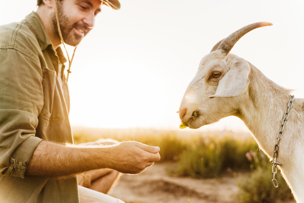 How to Talk About Fair Family Price for Land and Other Farm Assets.
