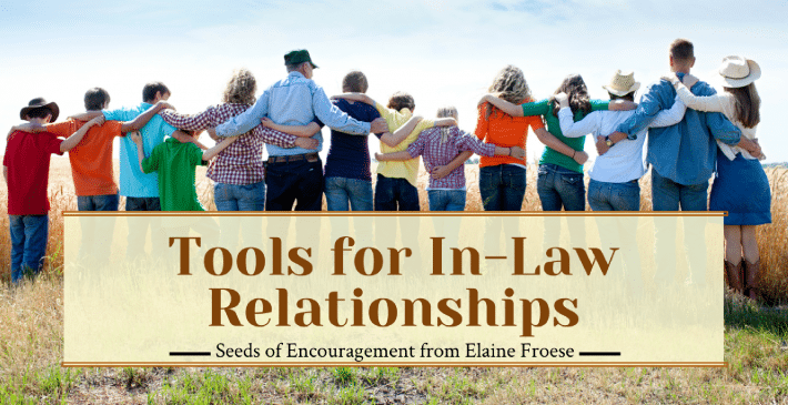 in-law relationships