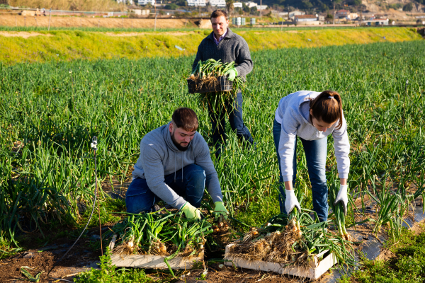 Managing Blended Families on the Farm