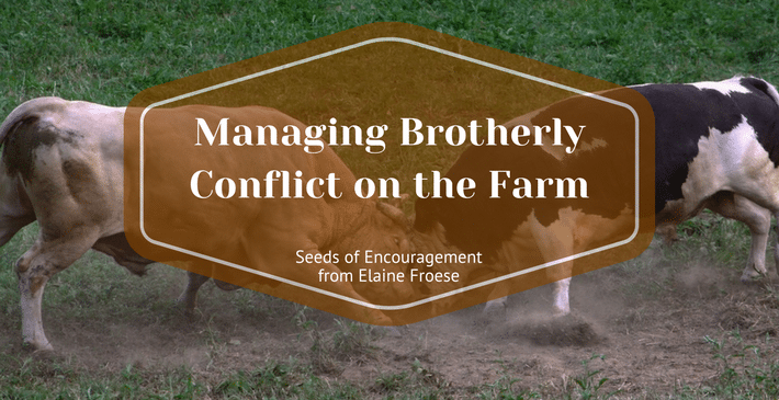 6 Tips for Managing Brotherly Conflict on the Farm