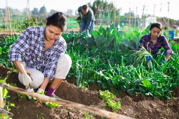 Not Talking About Your Emotions Will Make You a Bad Decision Maker